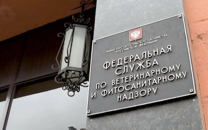 СМИ: Россия начала торговую войну с Арменией