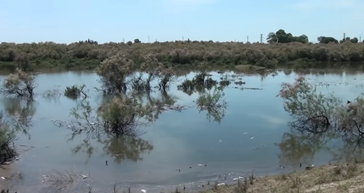 Kürdə suyun səviyyəsi artmaqda davam edir: Sahilboyu kəndlər TƏHLÜKƏDƏ - VİDEO