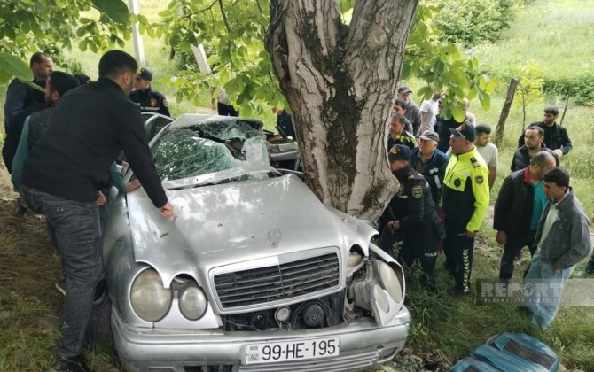 Oğuzda avtomobil ağaca çırpıldı, xəsarət alanlar var - FOTO