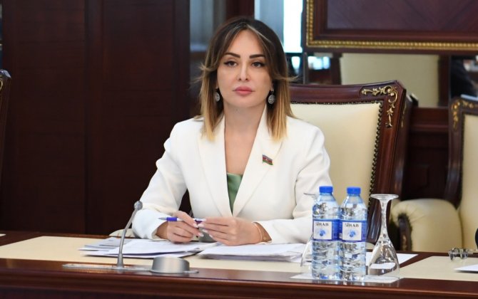 Paşinyanın taleyini xarici amillər müəyyənləşdirə bilər? — Deputatdan AÇIQLAMA