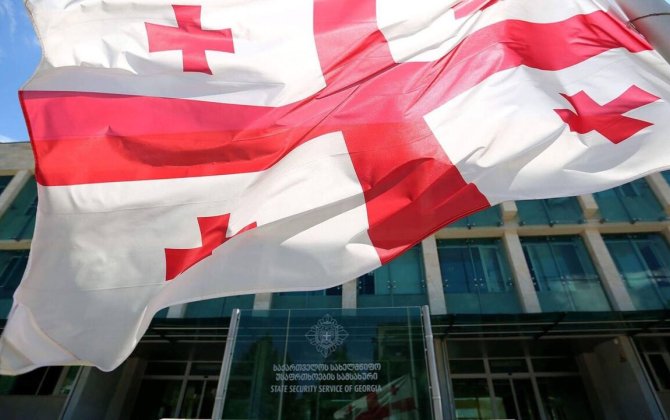 В Грузии арестован руководитель НПО, занимавшийся шпионажем в пользу двух стран