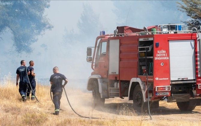 Власти Боснии и Герцеговины запросили помощь минобороны из-за лесных пожаров