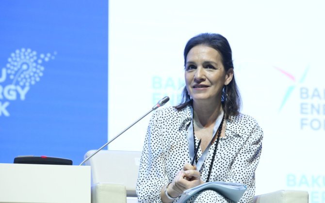 ЕС готов рассматривать дополнительные направления поддержки Азербайджану в сфере 