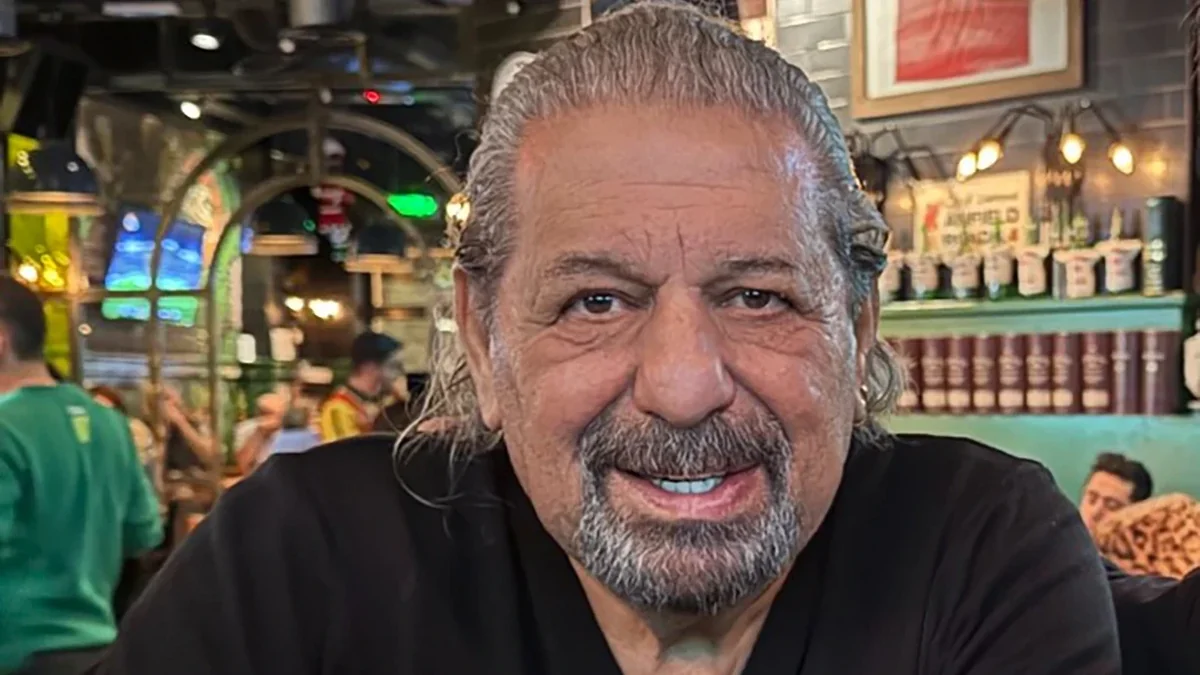 Məşhur şərhçi Erman Toroğlunun həbsi istənilir