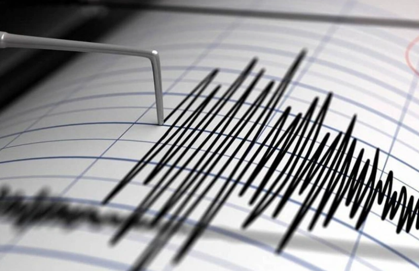 Kamçatkada 5 maqnitudalı zəlzələ baş verib