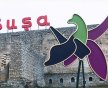 “Şuşa zəfərindən sonra türk dünyasının birliyi məsələsi daha aydın dərk edildi”