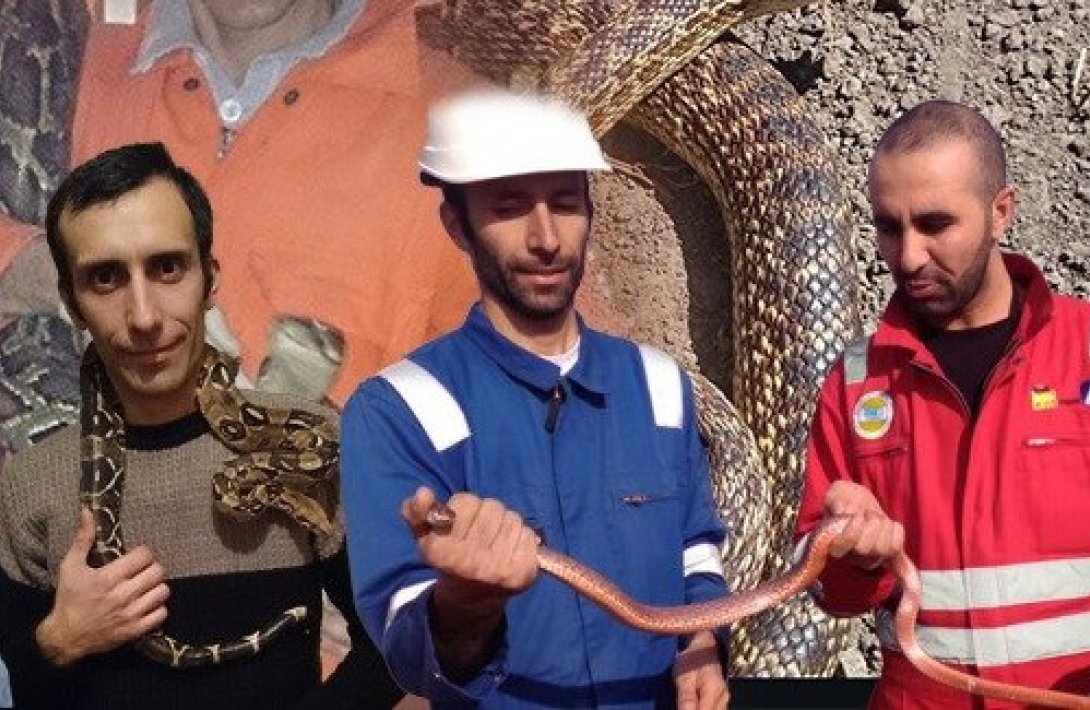 “Zəhərli ilanlara məni dişləməyə şans verməmişəm, qonşular biləndə ki evimdə ilan saxlayıram...” - FOTO+ÖZƏL