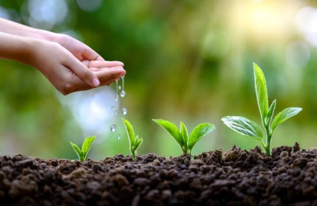 Bu gün İlaxır çərşənbədir