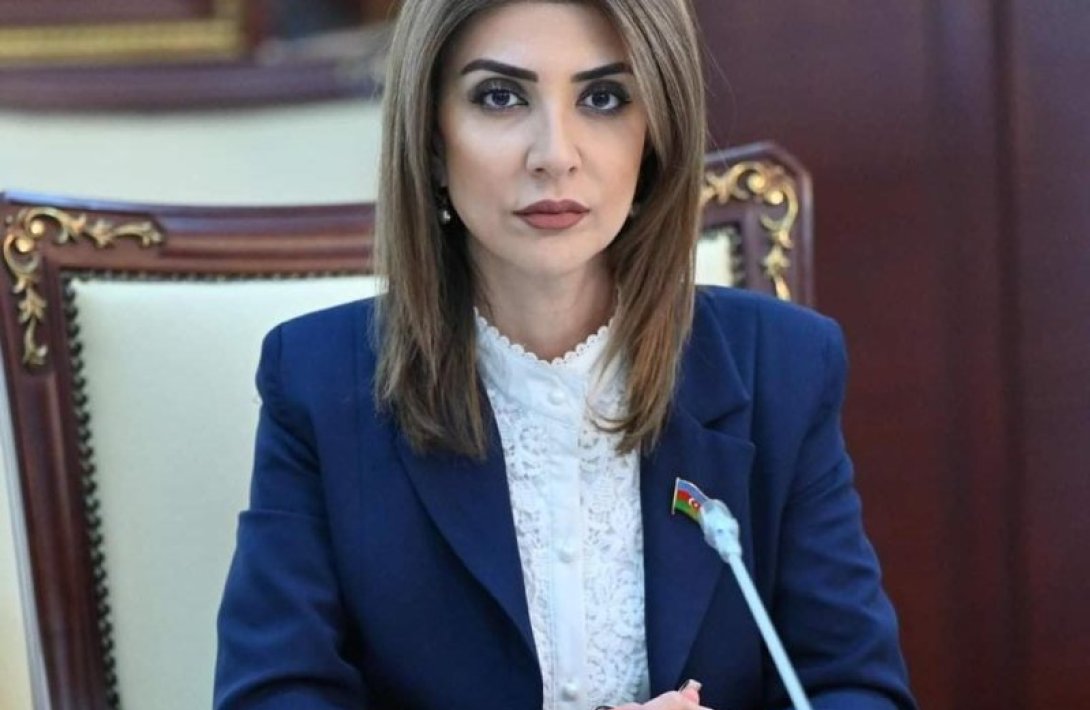 “Sosial mediada göstərilən ‘ideal həyat’ ilə real imkan gənclərdə depressiyanı artırır” – Günay Ağamalıyeva