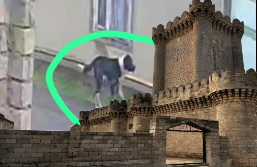 Mərdəkanda vəhşi it qalmaqalı: 8 nəfəri parçalayıb, ÖLÜM VAR - sahibsiz quduz köpək kimindir? - FOTO+ÖZƏL