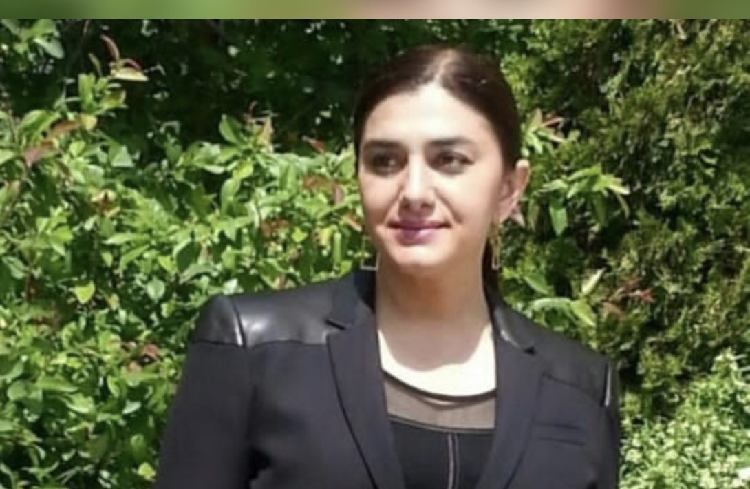 Naxçıvandan Günay Ağamalı, Kamal Abdulla və Mir Şahinə MÖHTƏŞƏM CAVAB...