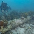 Sualtı arxeoloq tonlarla xəzinəsi olan yüzlərlə batan gəmi aşkar edib