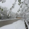 Hava ilə bağlı xəbərdarlıq: Sabahdan...