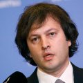 Кобахидзе пообещал ударить по радикалам