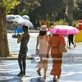 Завтра в Баку ожидается 36°, в регионах – 38° тепла