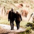 Avropa əhalisi qocalır - Azərbaycanın çıxarmalı olduğu dərs