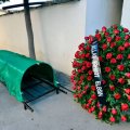 Universitet müəllimi vəfat etdi - FOTO
