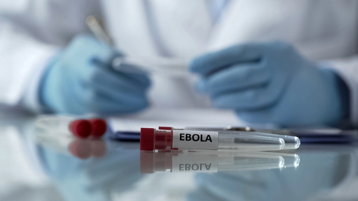 Ebola virusu yenidən yayıldı: çox sayda ölənlər var