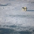 Россия создает секретный военный форпост в 300 милях от Аляски