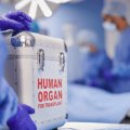 Ölülər həyat xilas edə bilər - orqan transplantasiyası: qorxu, tərəddüd və inanclar – ARAŞDIRMA