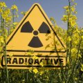 Azərbaycan ərazisində radioloji vəziyyət necədir?