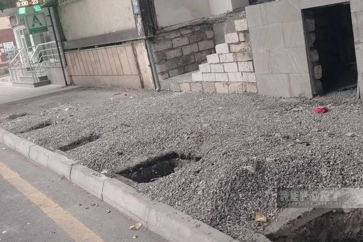 В Хачмазе расследуют незаконное уничтожение многолетних деревьев-ФОТО