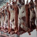 Azərbaycan 85 ölkədən qida məhsullarının idxalına MƏHDUDİYYƏT QOYDU - RƏSMİ