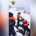 Elbrus dağındakı kanat yolunda dəhşətli qəza: ölənlər və xəsarət alanlar var