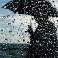 В воскресенье ожидаются дожди и грозы