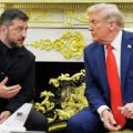 Трамп может встретиться с Зеленским на следующей неделе