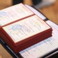 Ən çox bu ixtisas üzrə diplomlar tanınmayıb - Agentlik sədri açıqladı