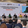 Rolande Pryce: Qara dəniz və Xəzər dənizi mühüm enerji dəhlizləridir