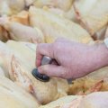 В Азербайджане мясо и птица будут продаваться только с ветеринарным клеймом