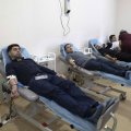 800 доноров объединились в Азербайджане для спасения жизней