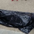 Zaqatalada 44 yaşlı kişi ağacdan yıxılaraq ölüb