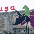 “Şuşa zəfərindən sonra türk dünyasının birliyi məsələsi daha aydın dərk edildi”
