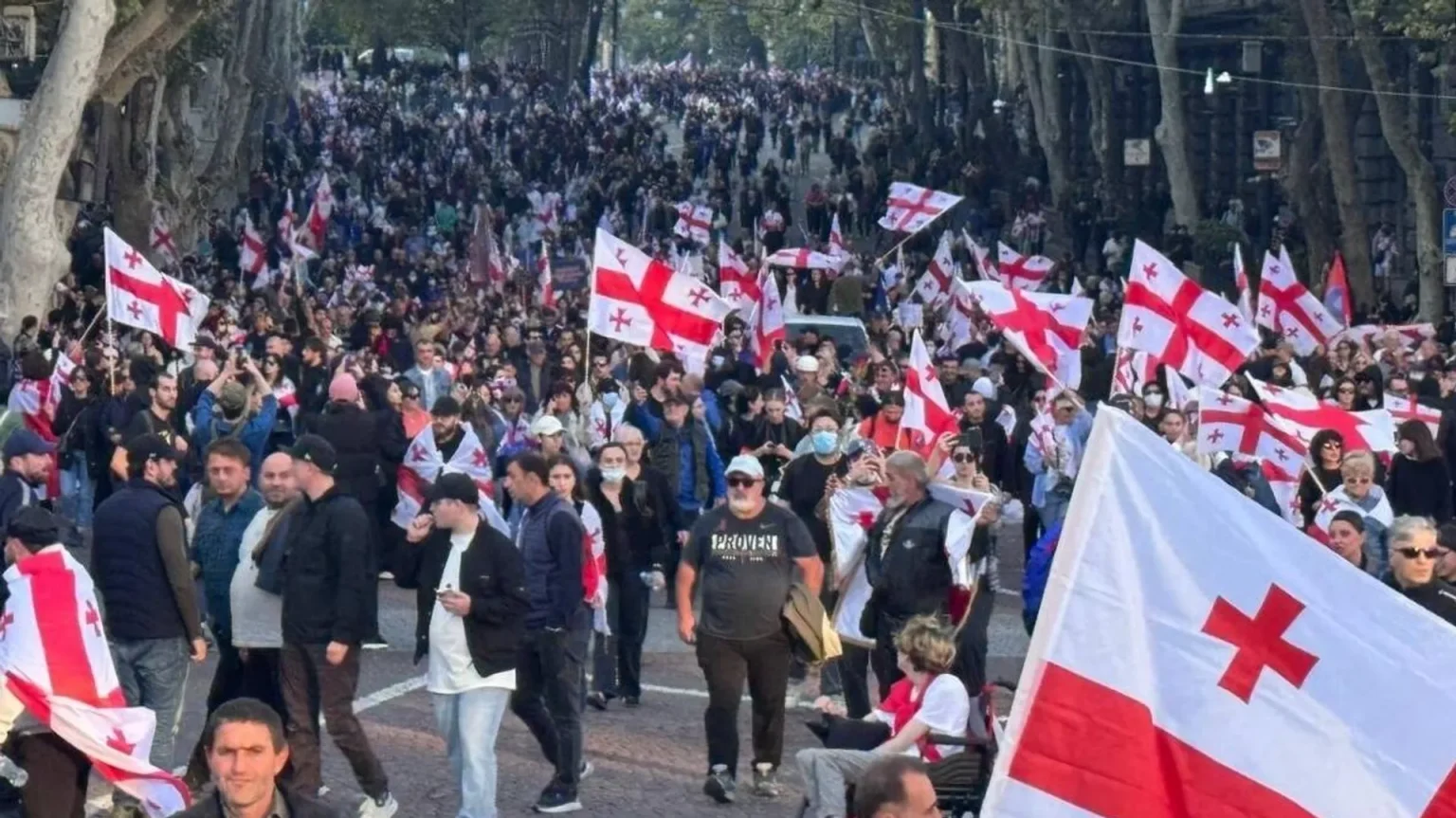 Организаторов митинга в Тбилиси обвинили в попытке переворота