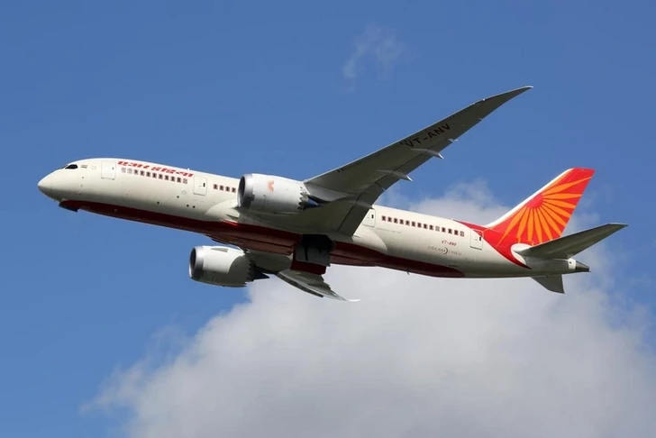 Air India отменяет рейс в Коломбо после инцидента с птицей