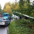 В Польше автобус со школьниками столкнулся с грузовиком, есть раненые