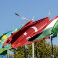 “Azərbaycanın bu zəfəri həm iqtisadi, həm də ideoloji baxımdan türk dünyasını birləşdirdi”