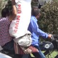 Motosiklet və mopedlə yük aparmaq qadağan edilir