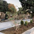 Azərbaycanda 2 nəfər qəbiristanlıqda öldü
