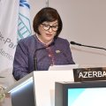 Sahibə Qafarova Parlamentlərarası İttifaqın 151-ci Assambleyasında çıxış etdi - FOTO