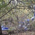В Румынии разбился легкомоторный самолет, пилот погиб