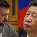 Си обещал Зеленскому не продавать оружие России