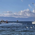 Qanunsuz miqrantları daşıyan qayıq batıb - Çox sayda ölənlər var