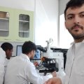 Azərbaycanlının xərçənglə bağlı elmi nailiyyəti rezonans doğurdu