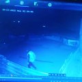 Göygöldə silahlı şəxslər fermadan oğurluq ediblər - FOTO