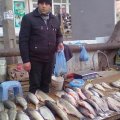 Центр рыболовства: В Азербайджане нет дефицита рыбы на рынках