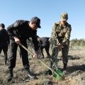 DİN əməkdaşları Zəfər Günü ilə əlaqədar ağacəkmə kampaniyası keçirdilər - VİDEO